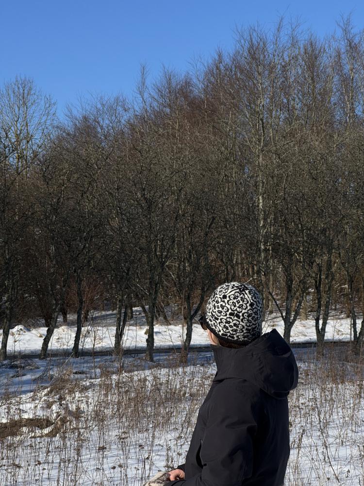 Bilde av oppskrift